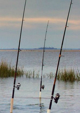 Many fishing hooks in the water.